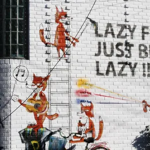 Hongdae Lazy Fox In Seoul